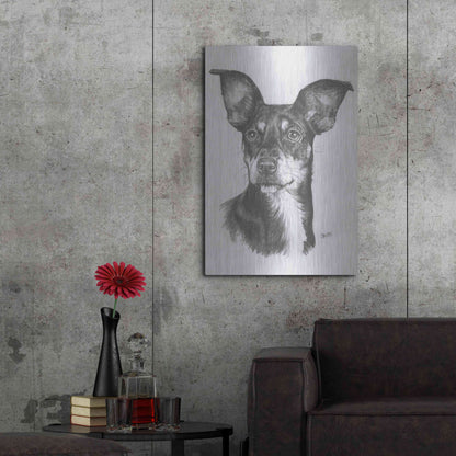 Luxe Metal Art 'Chiweenie' by Barbara Keith, Metal Wall Art,24x36