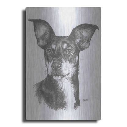 Luxe Metal Art 'Chiweenie' by Barbara Keith, Metal Wall Art