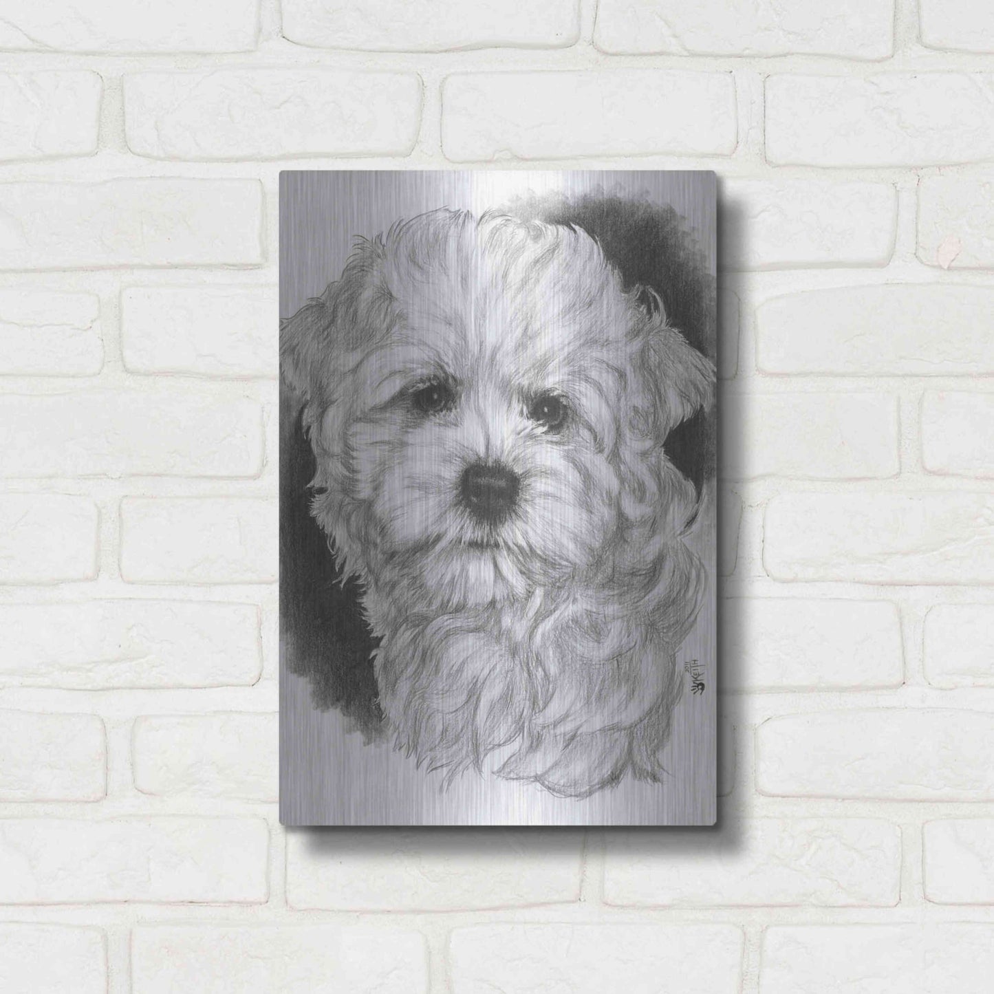 Luxe Metal Art 'Maltichon' by Barbara Keith, Metal Wall Art,12x16