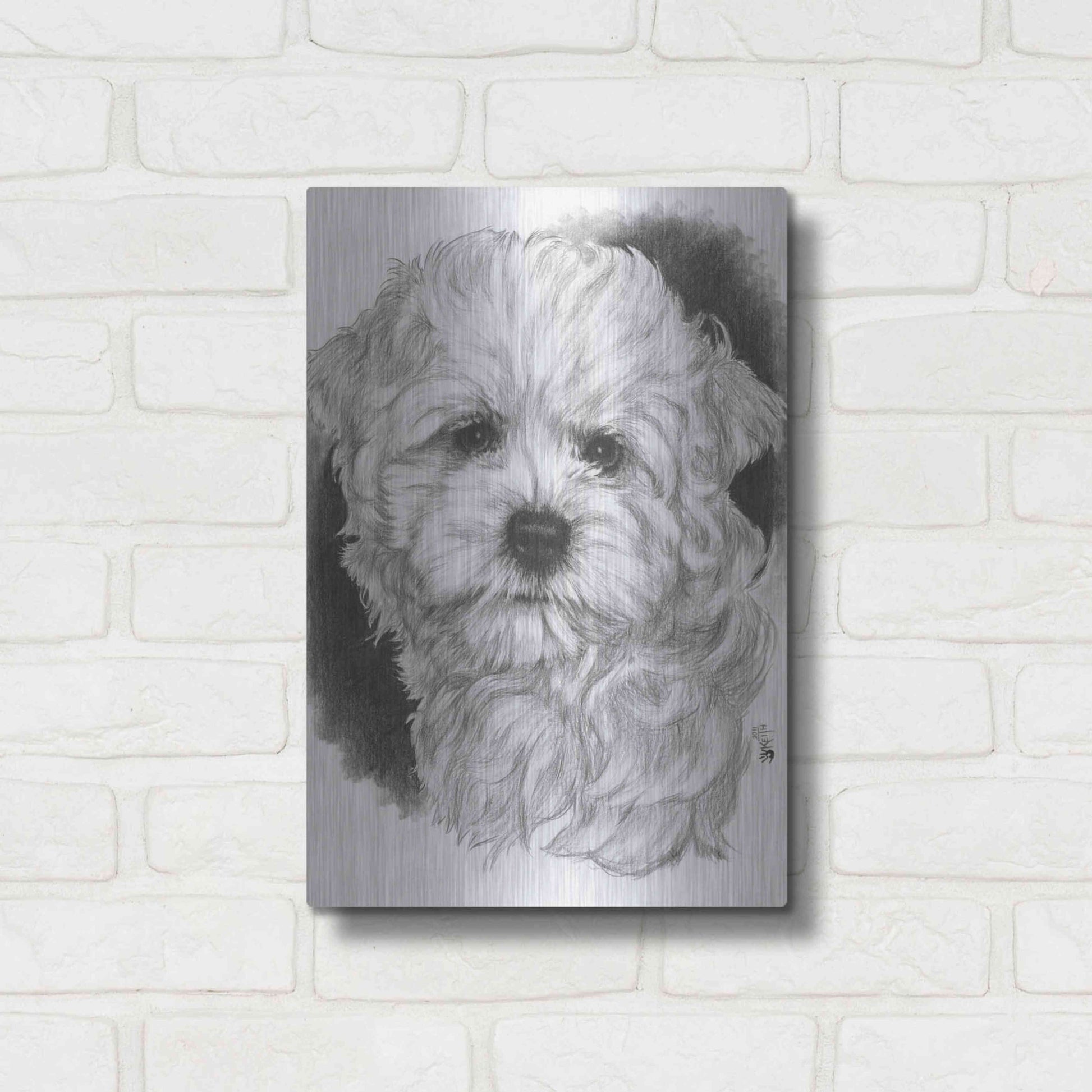 Luxe Metal Art 'Maltichon' by Barbara Keith, Metal Wall Art,12x16