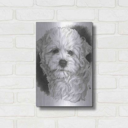 Luxe Metal Art 'Maltichon' by Barbara Keith, Metal Wall Art,12x16