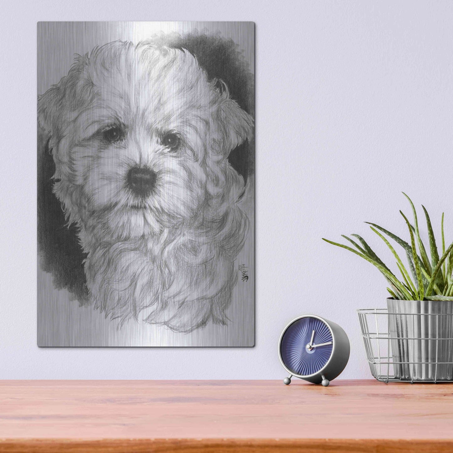 Luxe Metal Art 'Maltichon' by Barbara Keith, Metal Wall Art,12x16