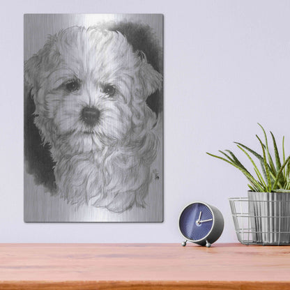 Luxe Metal Art 'Maltichon' by Barbara Keith, Metal Wall Art,12x16