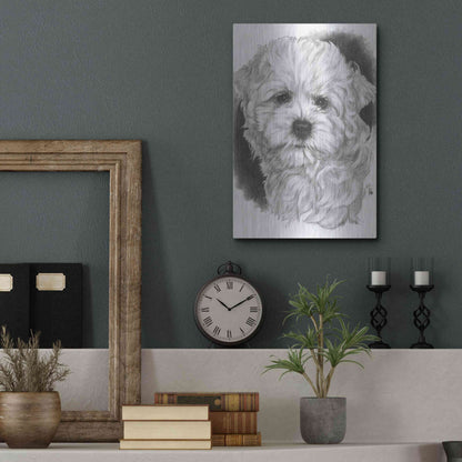 Luxe Metal Art 'Maltichon' by Barbara Keith, Metal Wall Art,12x16