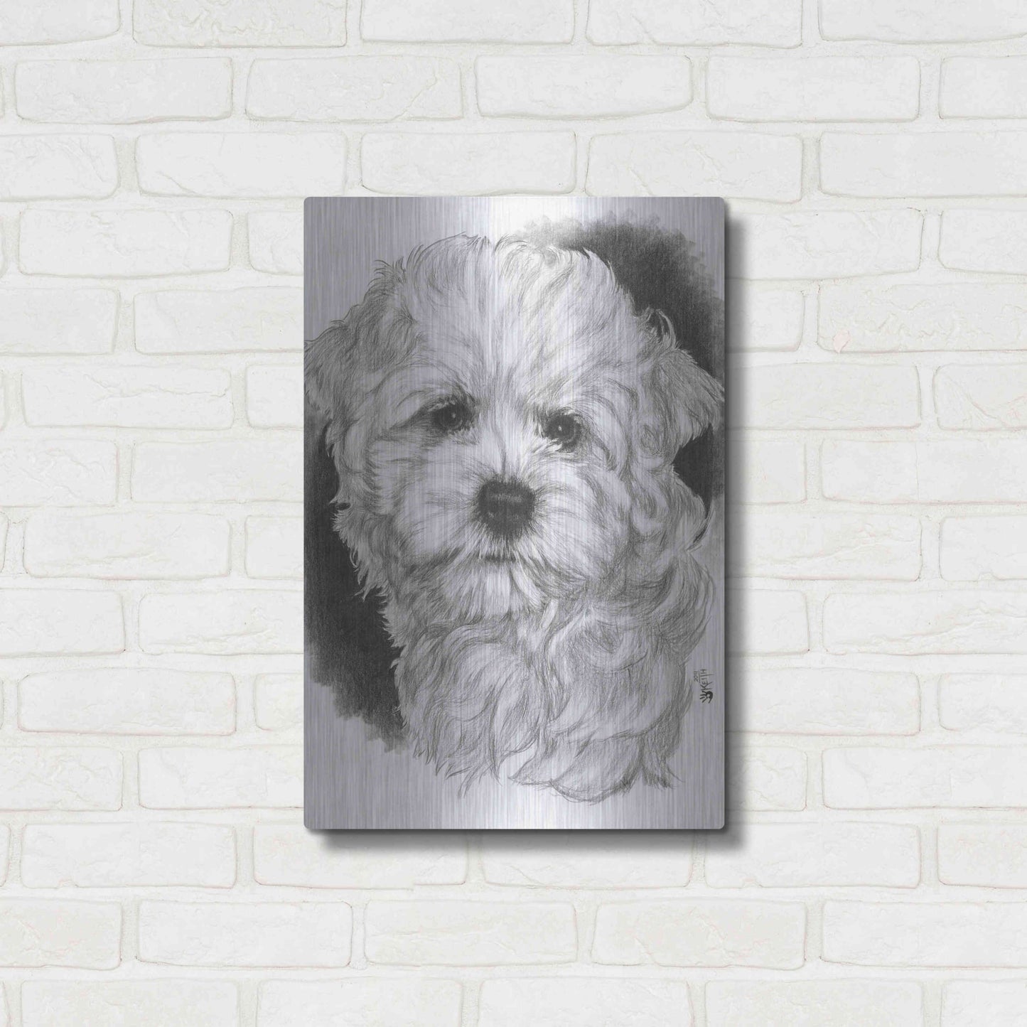 Luxe Metal Art 'Maltichon' by Barbara Keith, Metal Wall Art,16x24