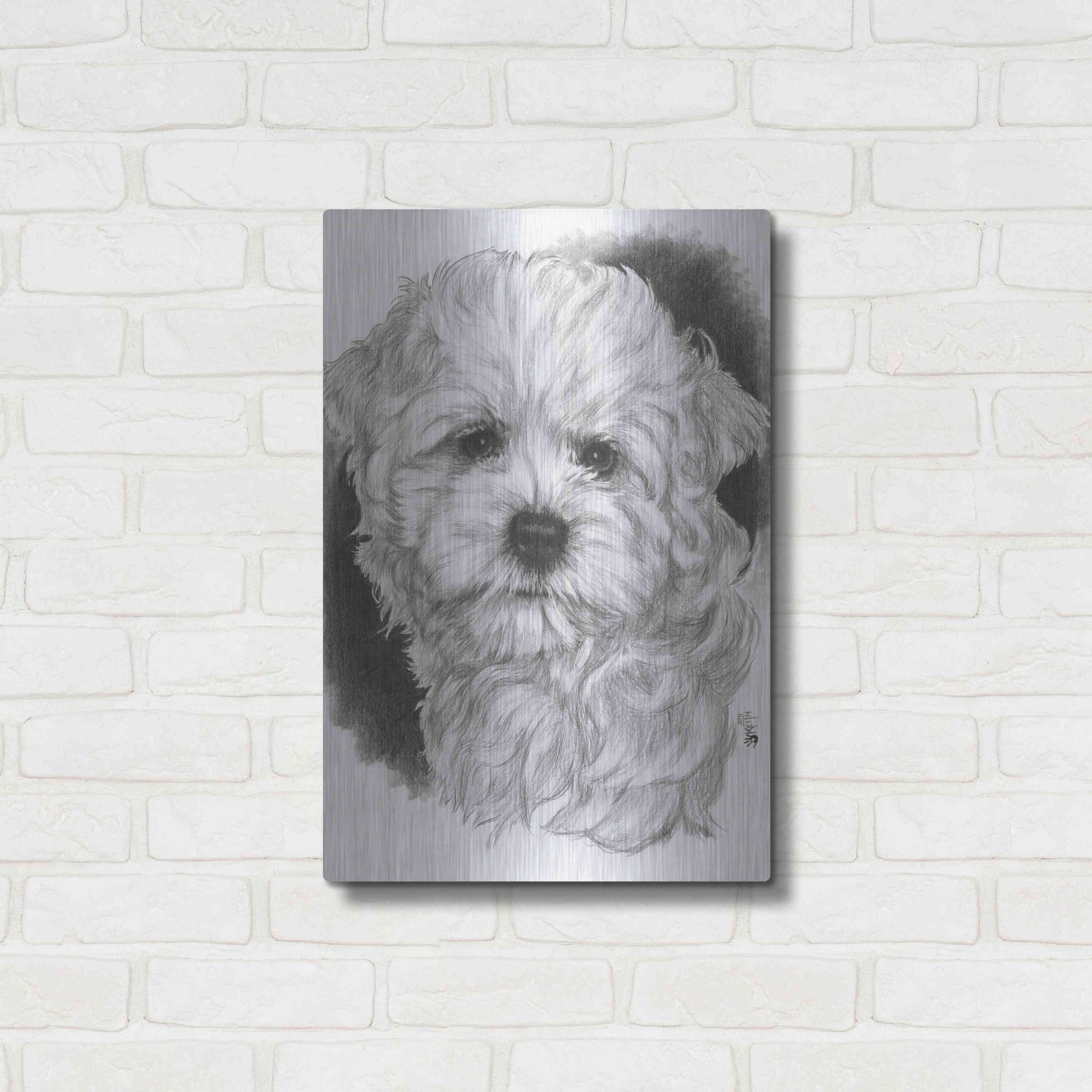 Luxe Metal Art 'Maltichon' by Barbara Keith, Metal Wall Art,16x24