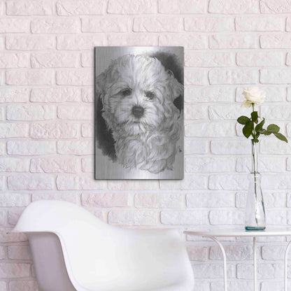 Luxe Metal Art 'Maltichon' by Barbara Keith, Metal Wall Art,16x24