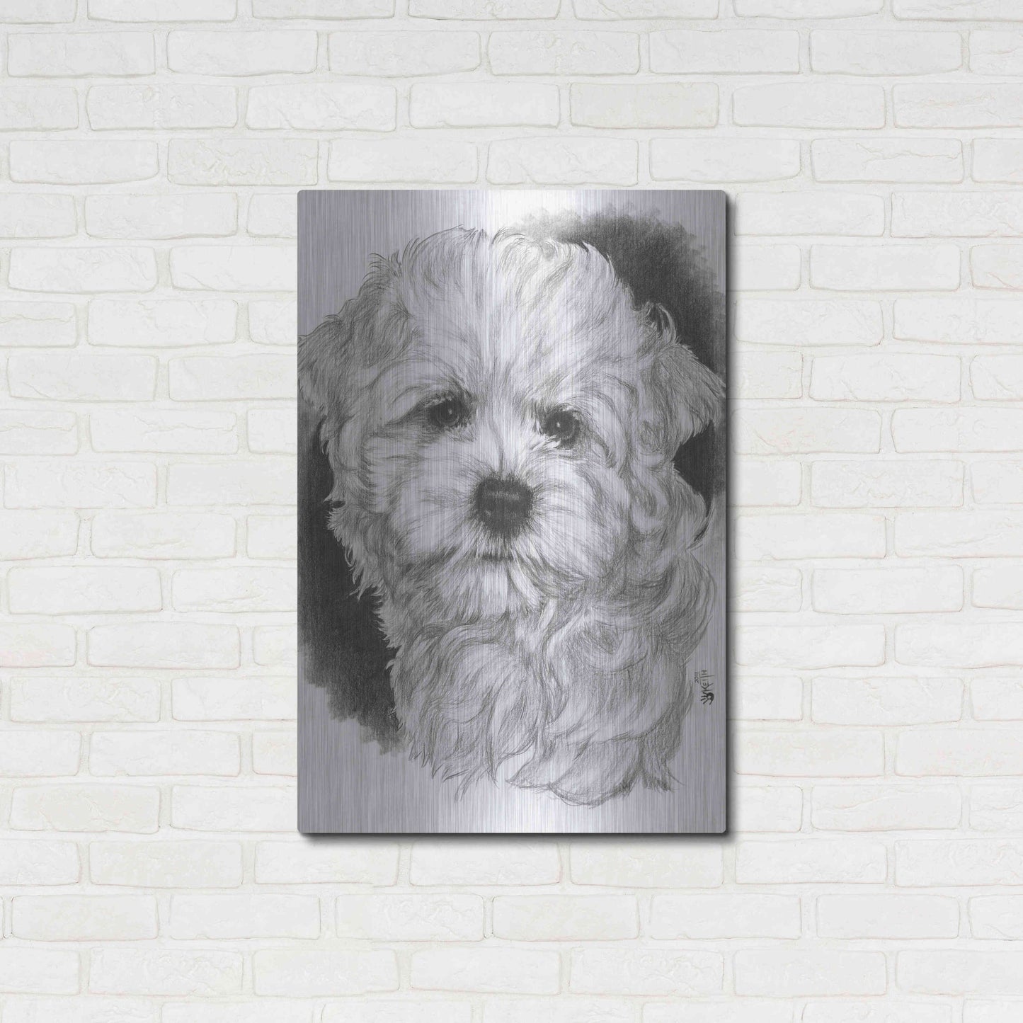 Luxe Metal Art 'Maltichon' by Barbara Keith, Metal Wall Art,24x36