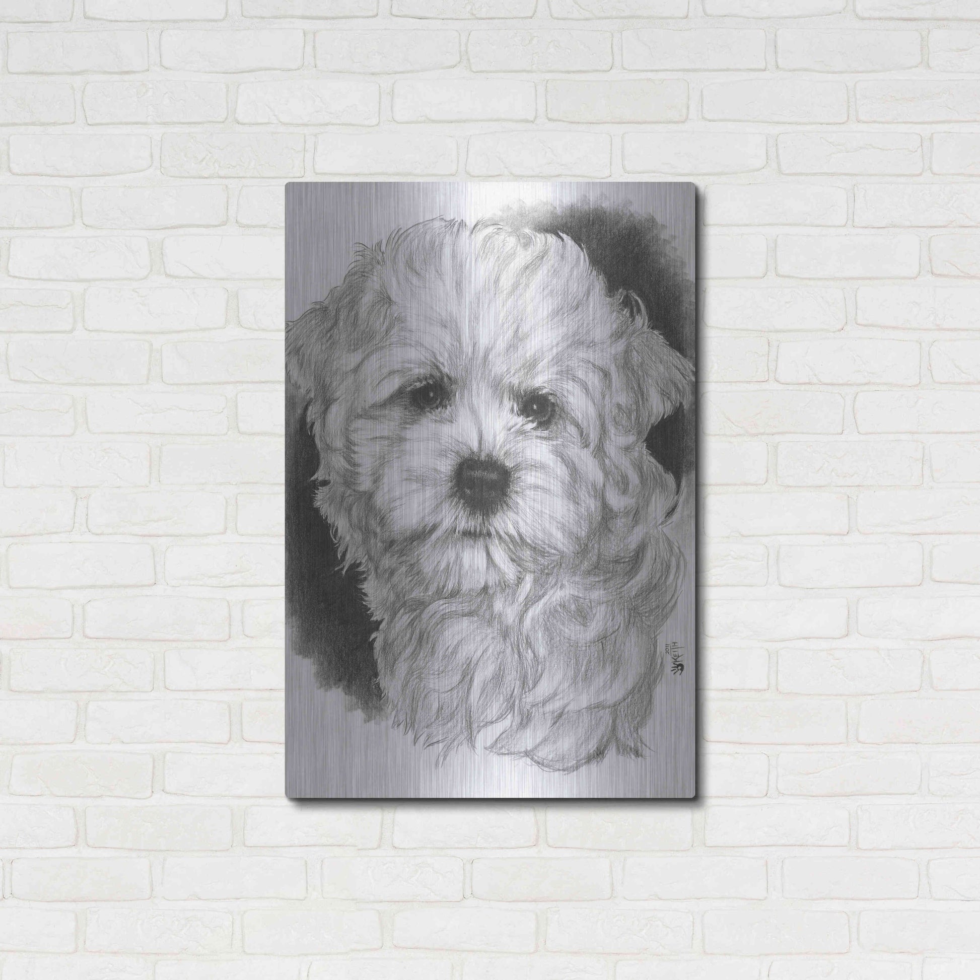 Luxe Metal Art 'Maltichon' by Barbara Keith, Metal Wall Art,24x36