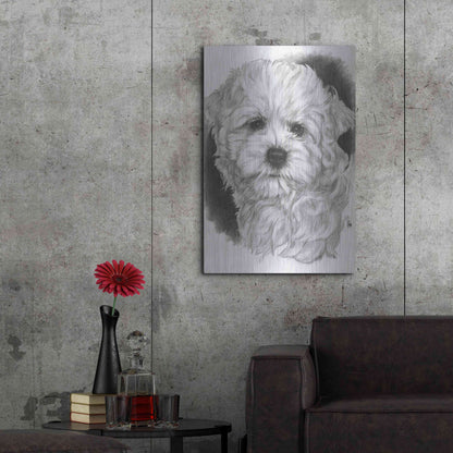 Luxe Metal Art 'Maltichon' by Barbara Keith, Metal Wall Art,24x36