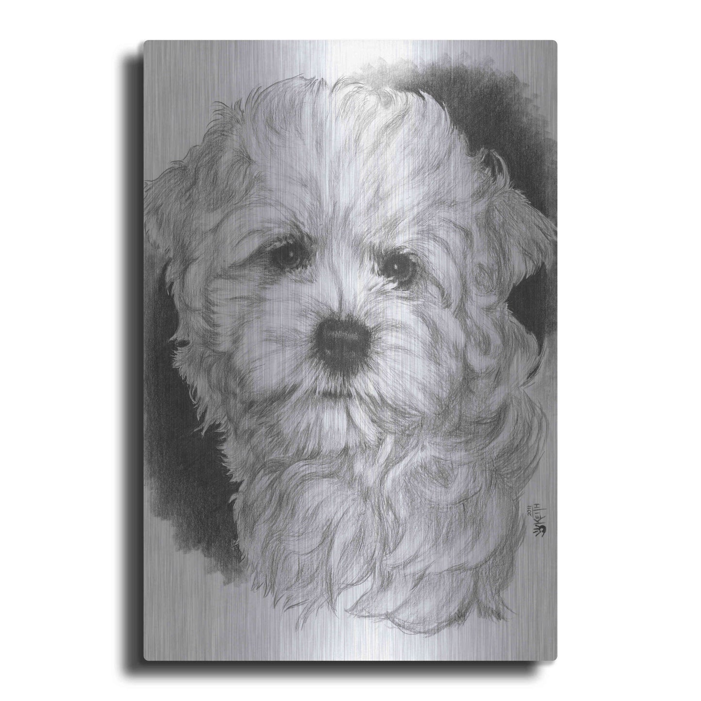 Luxe Metal Art 'Maltichon' by Barbara Keith, Metal Wall Art