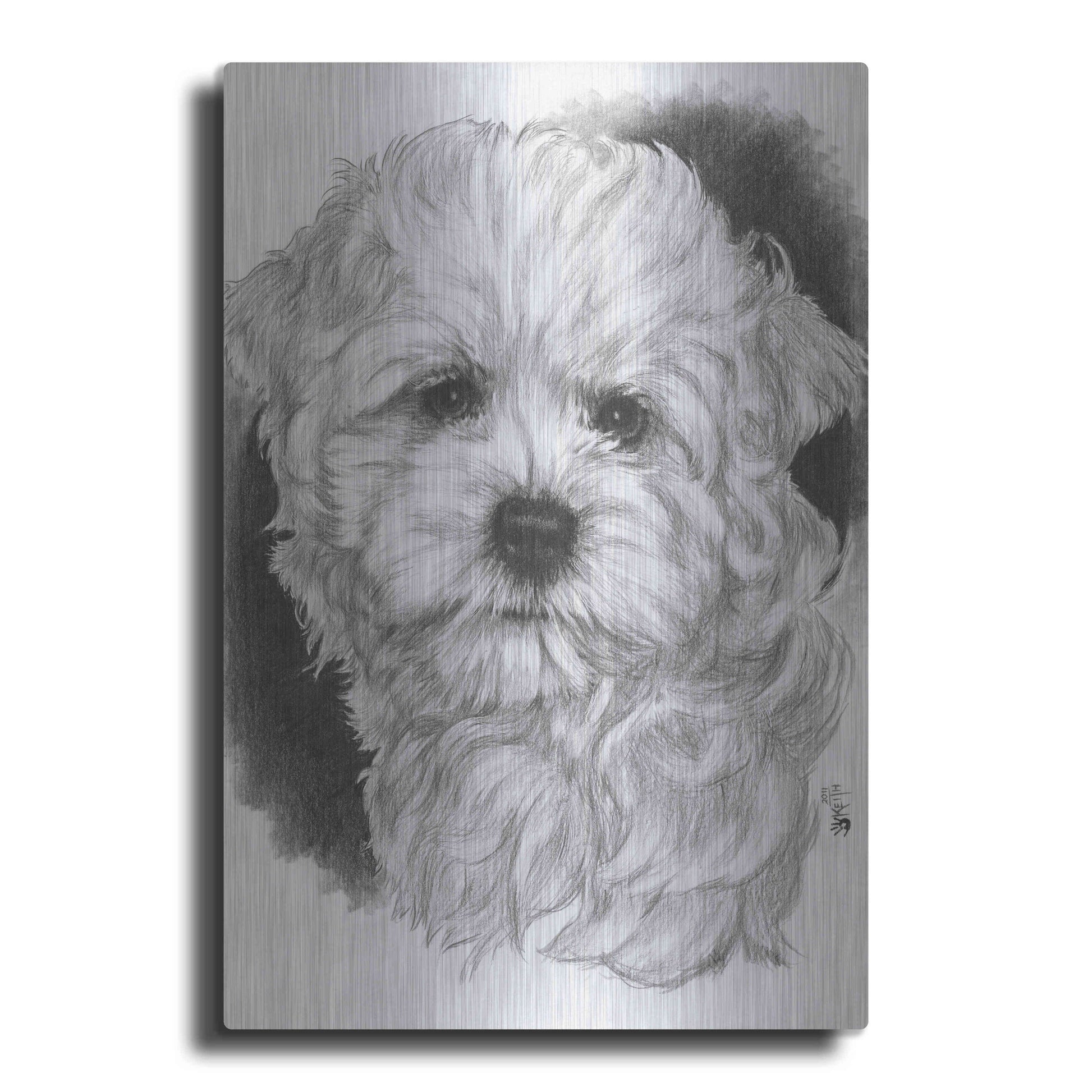 Luxe Metal Art 'Maltichon' by Barbara Keith, Metal Wall Art