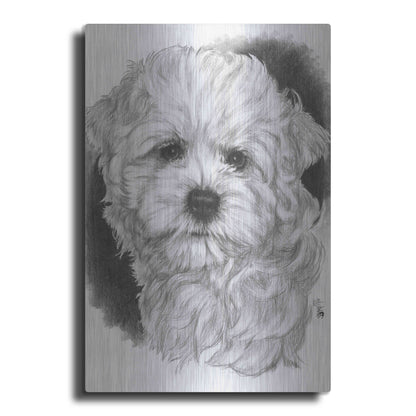 Luxe Metal Art 'Maltichon' by Barbara Keith, Metal Wall Art