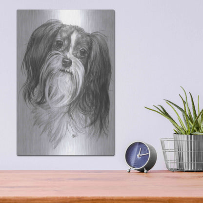 Luxe Metal Art 'Miki' by Barbara Keith, Metal Wall Art,12x16