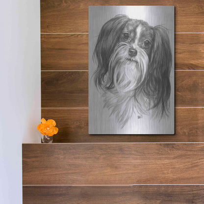 Luxe Metal Art 'Miki' by Barbara Keith, Metal Wall Art,12x16