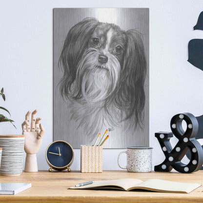 Luxe Metal Art 'Miki' by Barbara Keith, Metal Wall Art,12x16