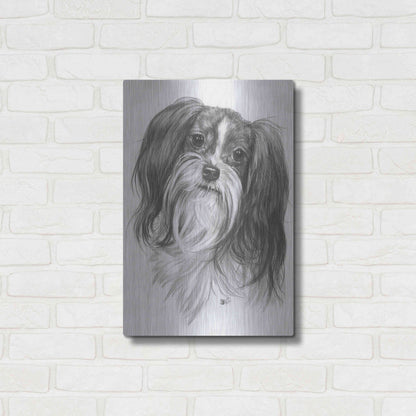 Luxe Metal Art 'Miki' by Barbara Keith, Metal Wall Art,16x24