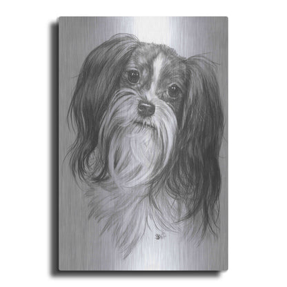 Luxe Metal Art 'Miki' by Barbara Keith, Metal Wall Art