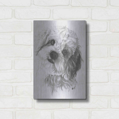 Luxe Metal Art 'Cavachon' by Barbara Keith, Metal Wall Art,12x16