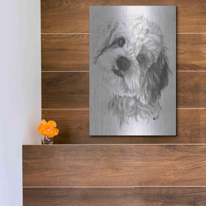 Luxe Metal Art 'Cavachon' by Barbara Keith, Metal Wall Art,12x16