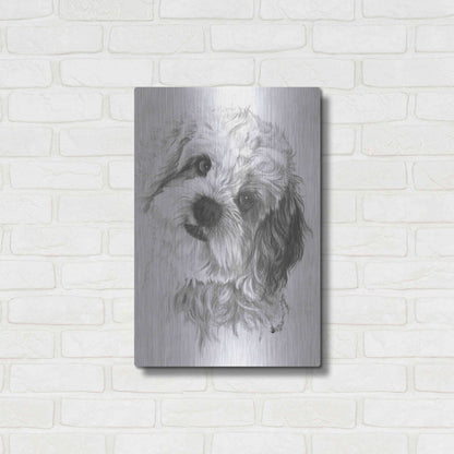 Luxe Metal Art 'Cavachon' by Barbara Keith, Metal Wall Art,16x24