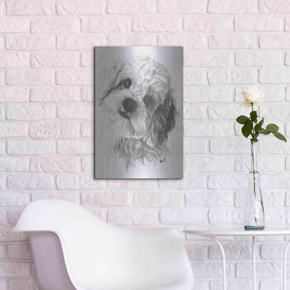 Luxe Metal Art 'Cavachon' by Barbara Keith, Metal Wall Art,16x24