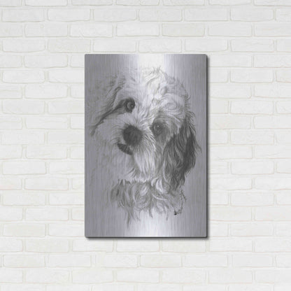 Luxe Metal Art 'Cavachon' by Barbara Keith, Metal Wall Art,24x36