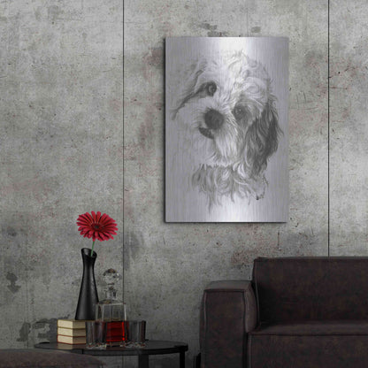 Luxe Metal Art 'Cavachon' by Barbara Keith, Metal Wall Art,24x36