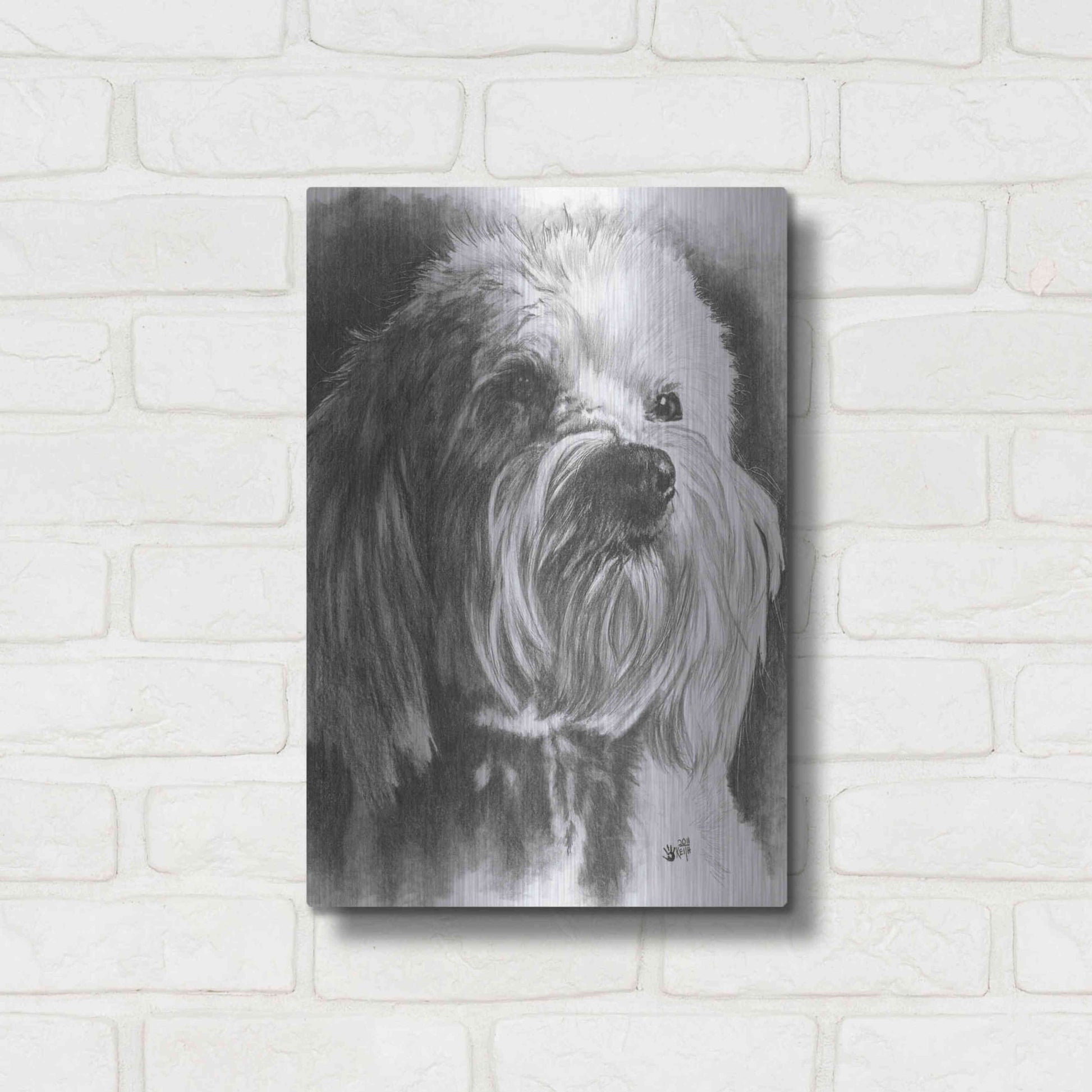 Luxe Metal Art 'Schnoodle' by Barbara Keith, Metal Wall Art,12x16