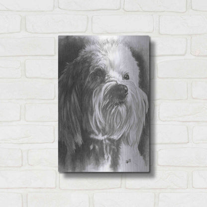 Luxe Metal Art 'Schnoodle' by Barbara Keith, Metal Wall Art,12x16