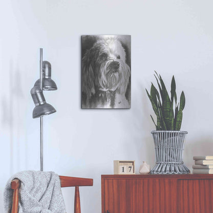 Luxe Metal Art 'Schnoodle' by Barbara Keith, Metal Wall Art,16x24