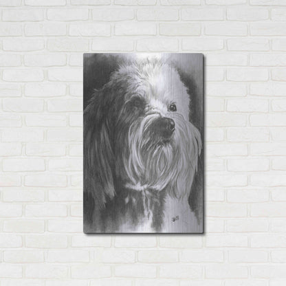 Luxe Metal Art 'Schnoodle' by Barbara Keith, Metal Wall Art,24x36