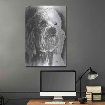 Luxe Metal Art 'Schnoodle' by Barbara Keith, Metal Wall Art,24x36