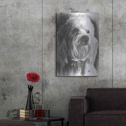 Luxe Metal Art 'Schnoodle' by Barbara Keith, Metal Wall Art,24x36