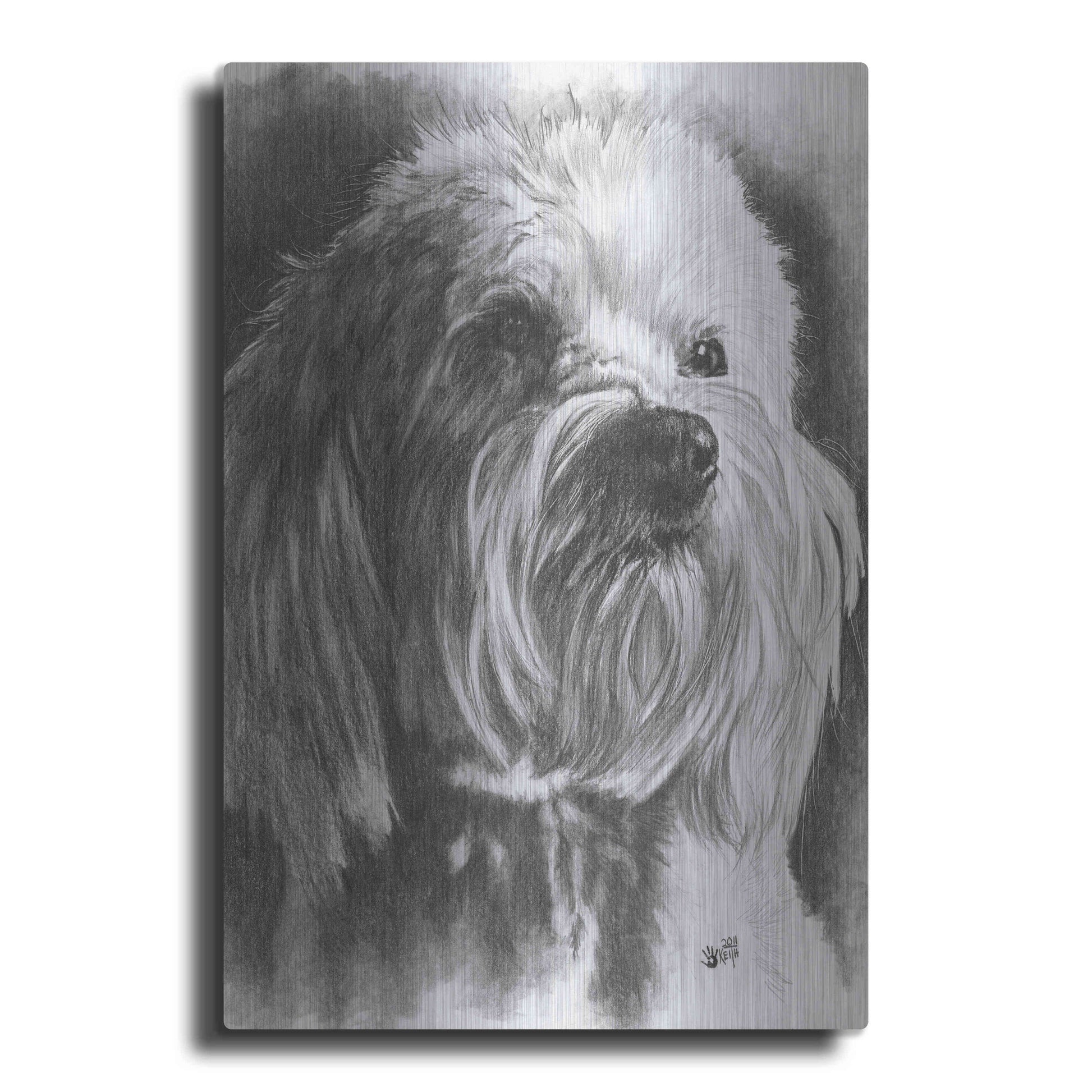 Luxe Metal Art 'Schnoodle' by Barbara Keith, Metal Wall Art