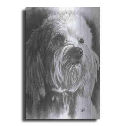 Luxe Metal Art 'Schnoodle' by Barbara Keith, Metal Wall Art