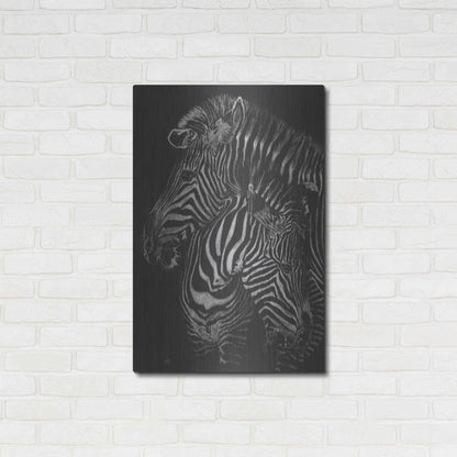 Luxe Metal Art 'Duel' by Barbara Keith, Metal Wall Art,24x36