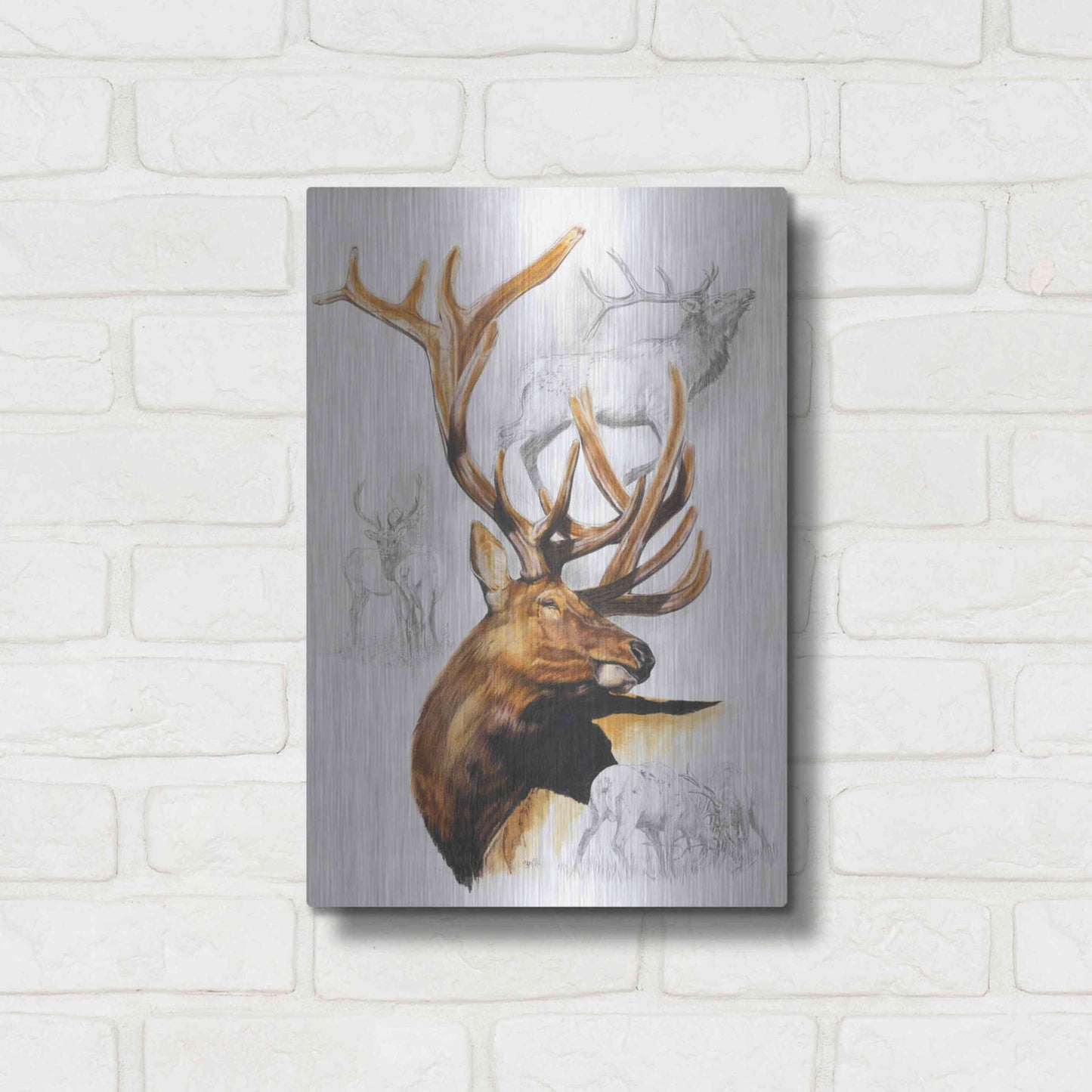 Luxe Metal Art 'Elk' by Barbara Keith, Metal Wall Art,12x16