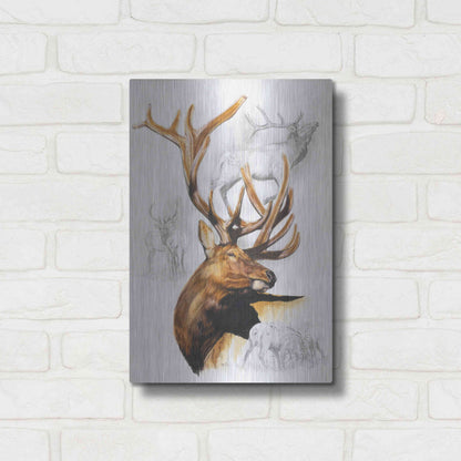 Luxe Metal Art 'Elk' by Barbara Keith, Metal Wall Art,12x16