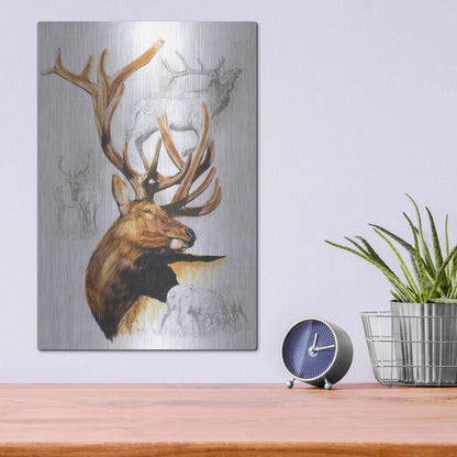 Luxe Metal Art 'Elk' by Barbara Keith, Metal Wall Art,12x16