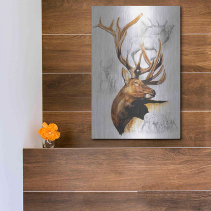 Luxe Metal Art 'Elk' by Barbara Keith, Metal Wall Art,12x16