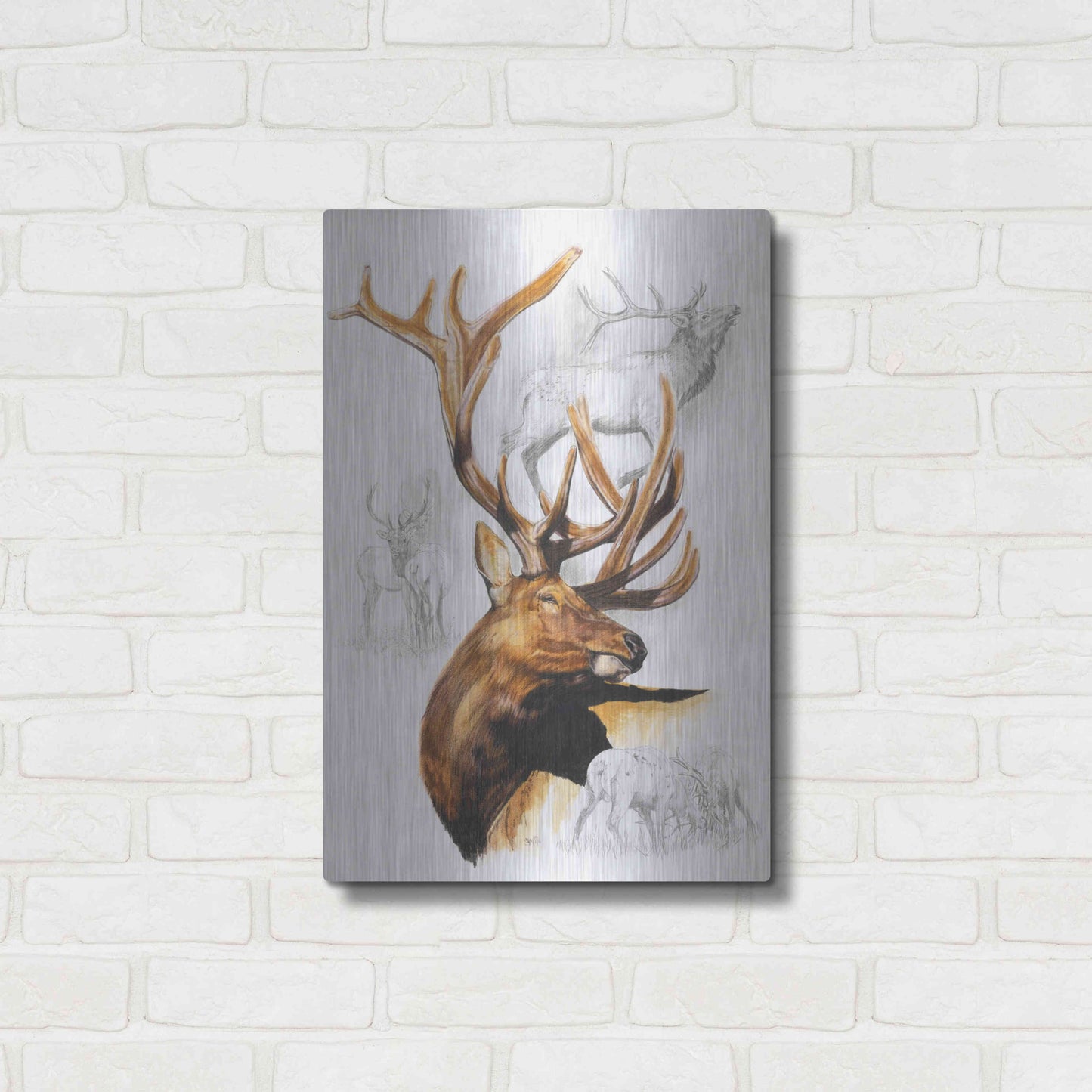 Luxe Metal Art 'Elk' by Barbara Keith, Metal Wall Art,16x24