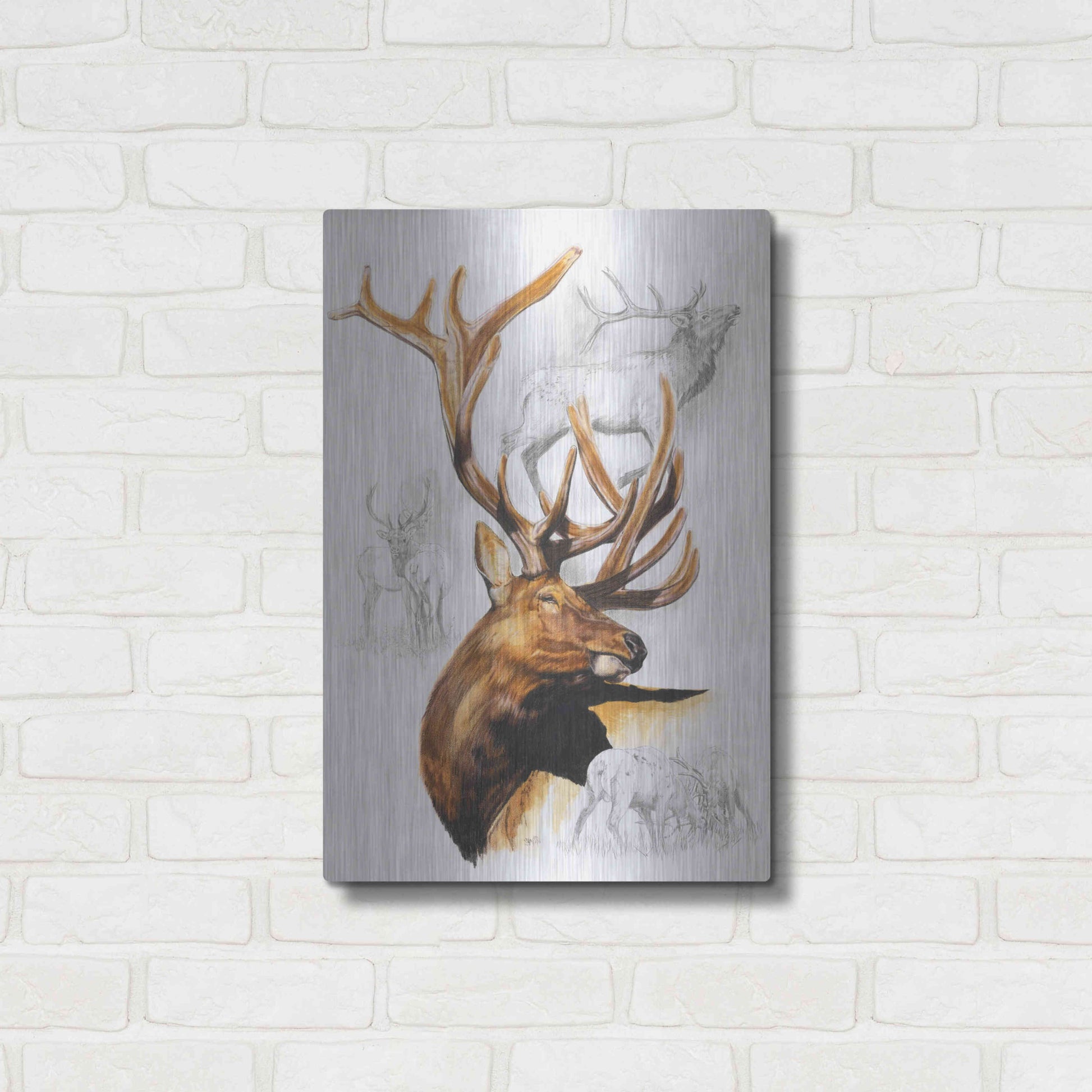 Luxe Metal Art 'Elk' by Barbara Keith, Metal Wall Art,16x24