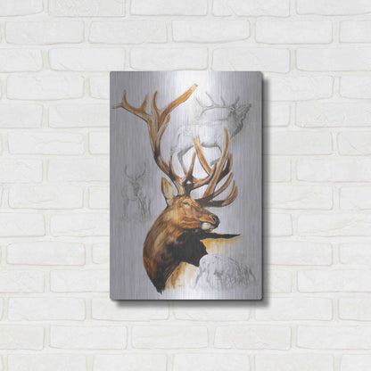 Luxe Metal Art 'Elk' by Barbara Keith, Metal Wall Art,16x24