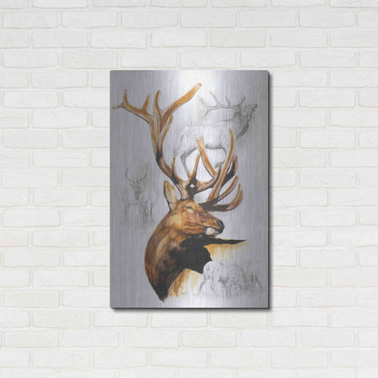 Luxe Metal Art 'Elk' by Barbara Keith, Metal Wall Art,24x36