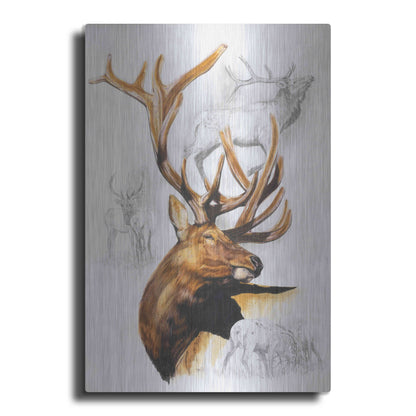 Luxe Metal Art 'Elk' by Barbara Keith, Metal Wall Art