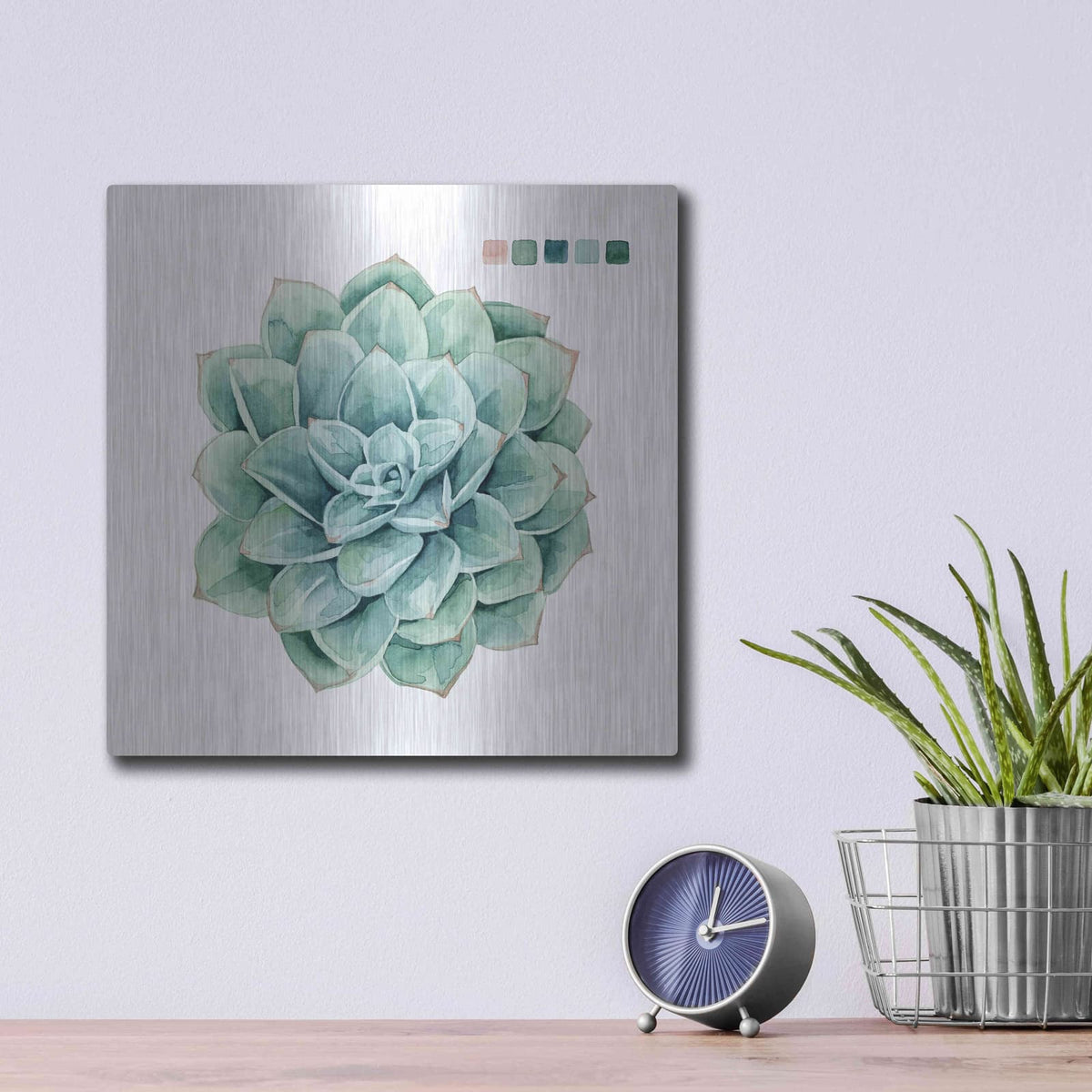'Succulent I' by Grace Popp – Metal Wall Art, 12x12 room view