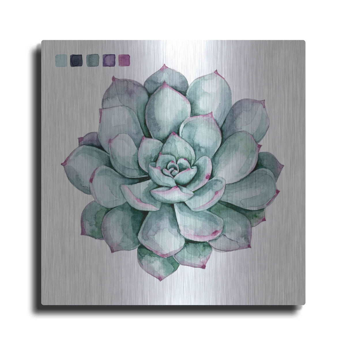 'Succulent II' by Grace Popp – Metal Wall Art