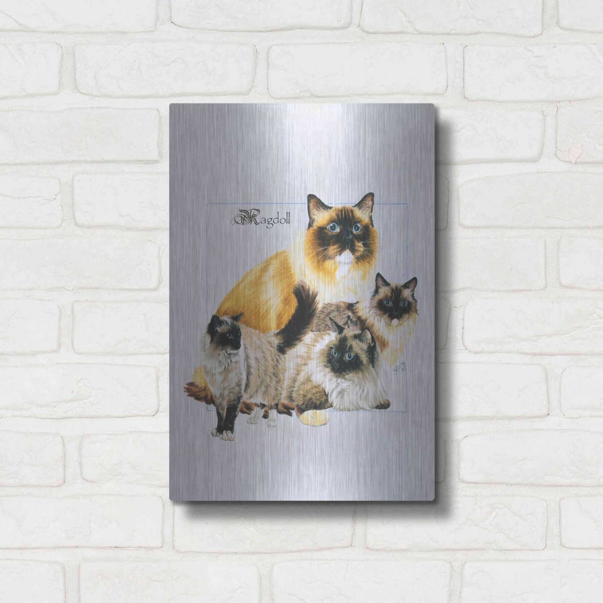 Luxe Metal Art 'Ragdoll' by Barbara Keith, Metal Wall Art,12x16