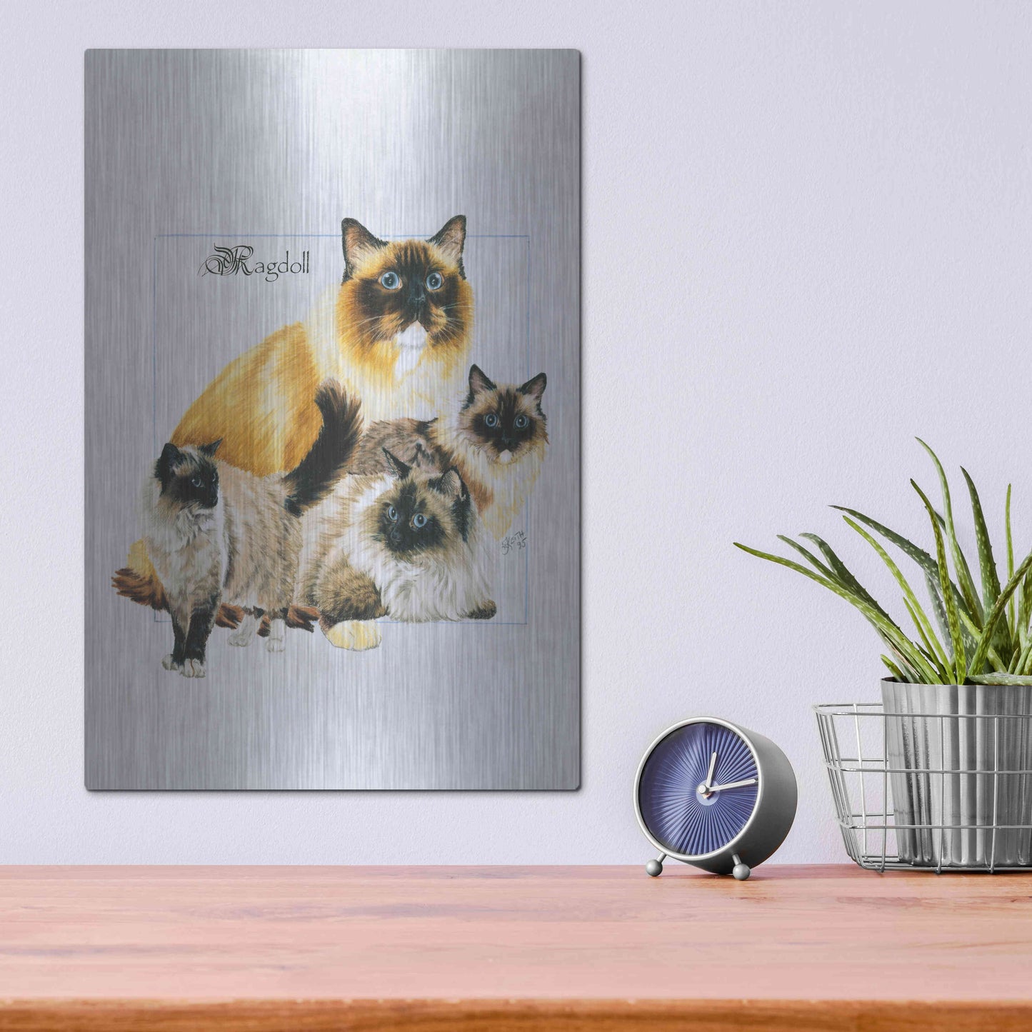 Luxe Metal Art 'Ragdoll' by Barbara Keith, Metal Wall Art,12x16